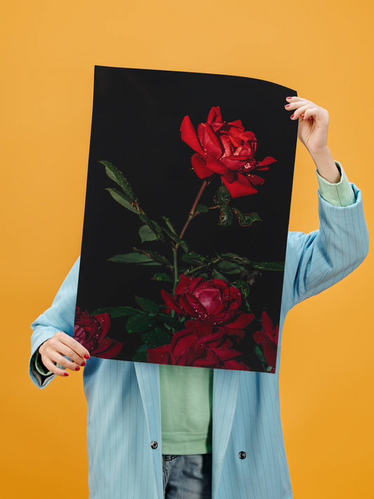 Red Rose Poster, Flower After the Rain - Semi-Glossy Paper