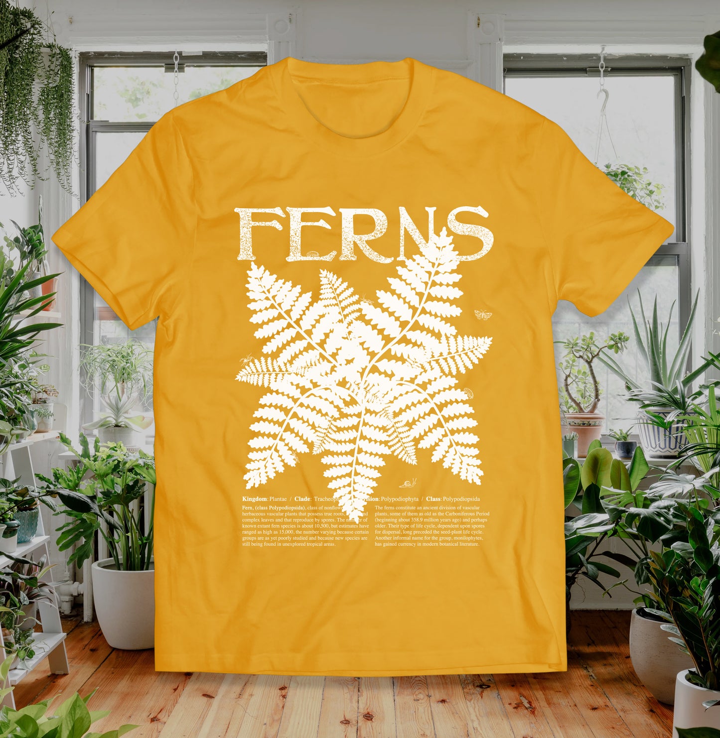 FERNS t shirt with Description and Bugs Educational Gift